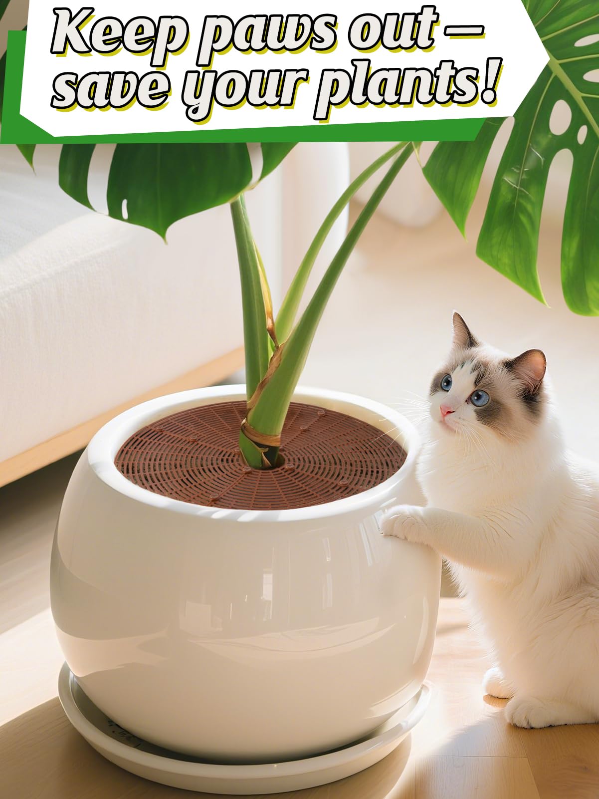 ANPHSIN grid cover protecting pot from a curious pet preventing digging