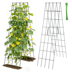 ANPHSIN front view of full trellis set showing components and packaging benefit durability