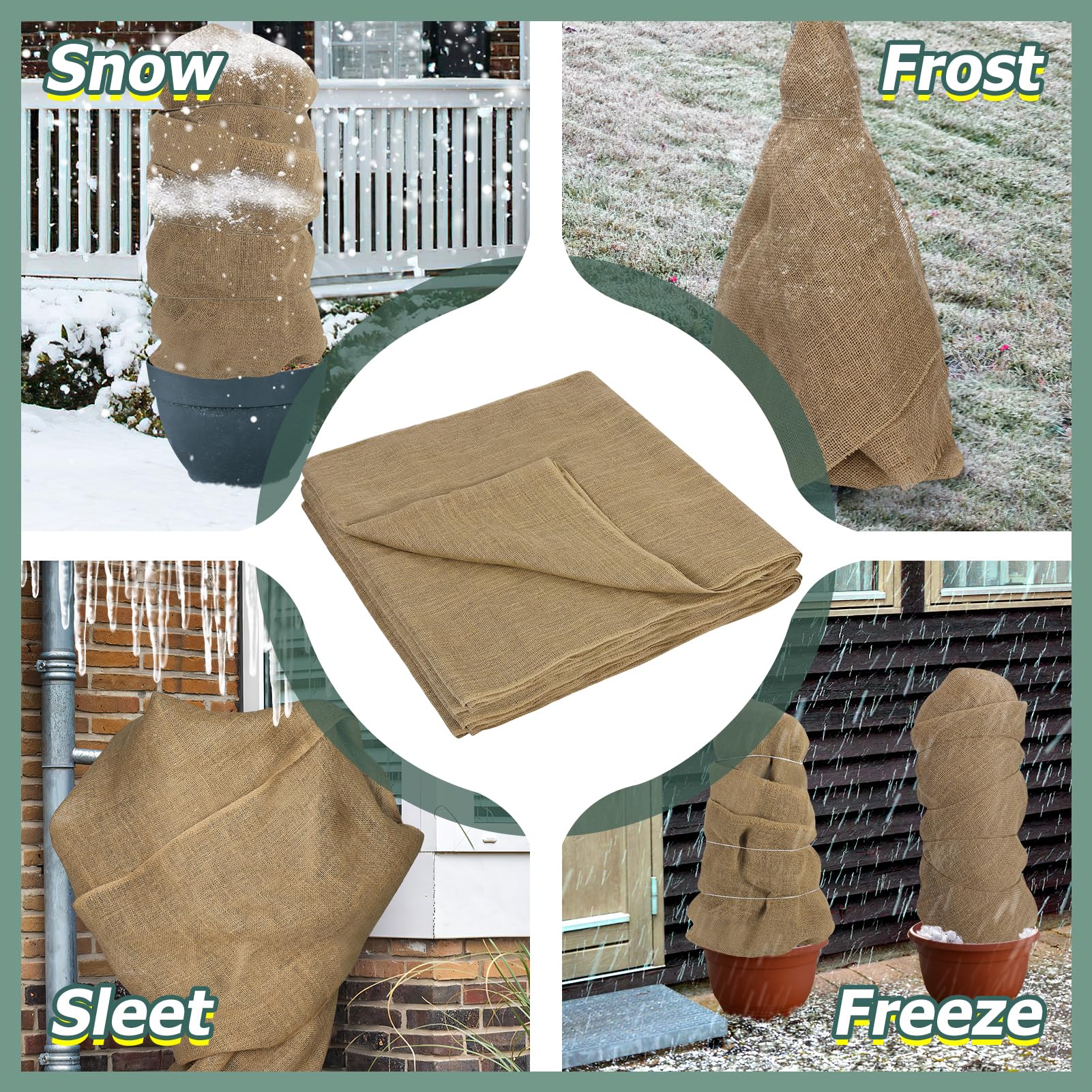 ANPHSIN trunk wrap on fruit tree reducing cold stress and wind damage