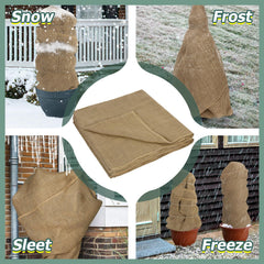 ANPHSIN trunk wrap on fruit tree reducing cold stress and wind damage