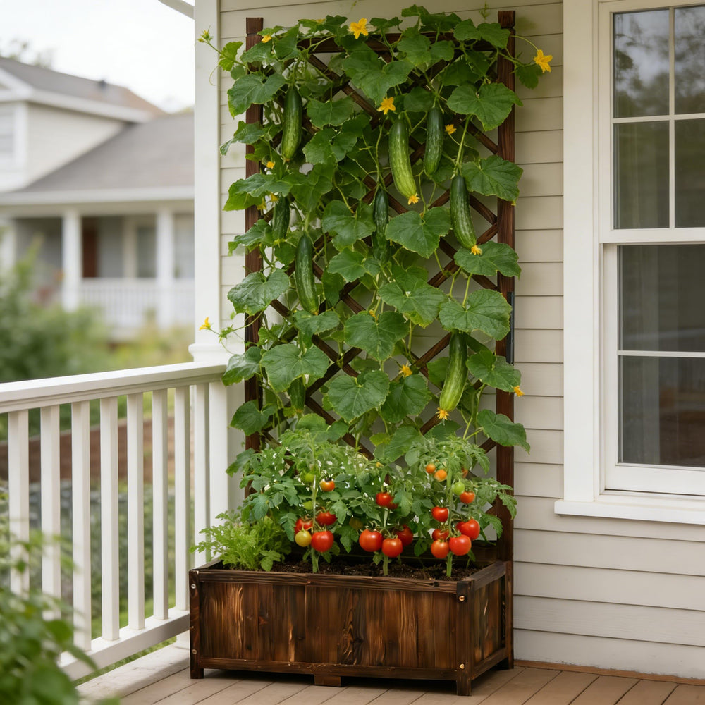 Anraja balcony lifestyle garden showing productive small-space planting