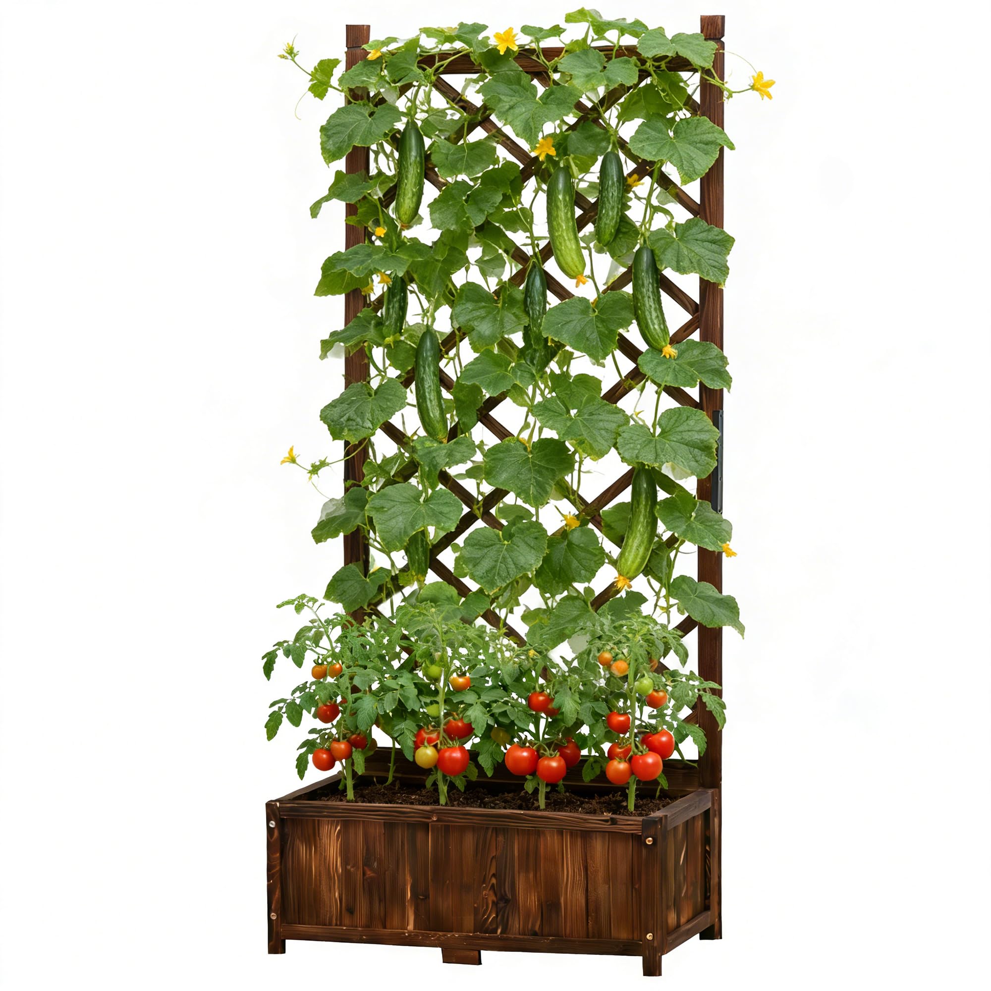 Anraja front view of planter and trellis showing vertical planting benefit