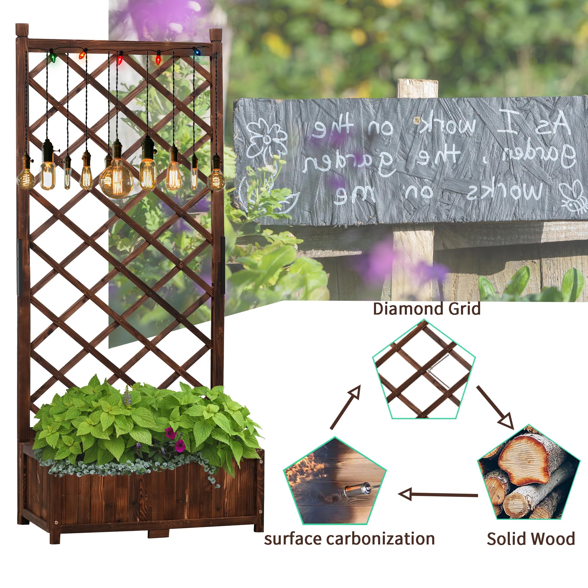 Anraja planter in use with tomatoes demonstrating space-saving growth
