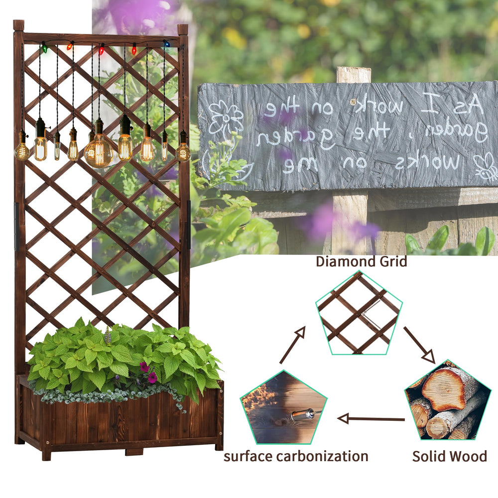 Anraja planter in use with tomatoes demonstrating space-saving growth