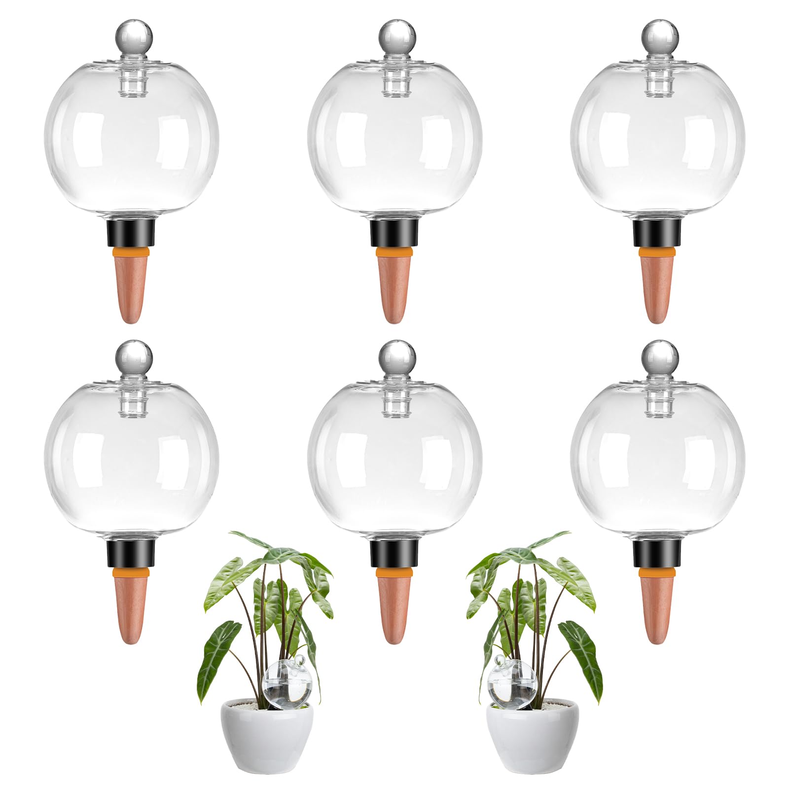 Ansberta front view of six watering globes showing kit and covers for easy refill benefit