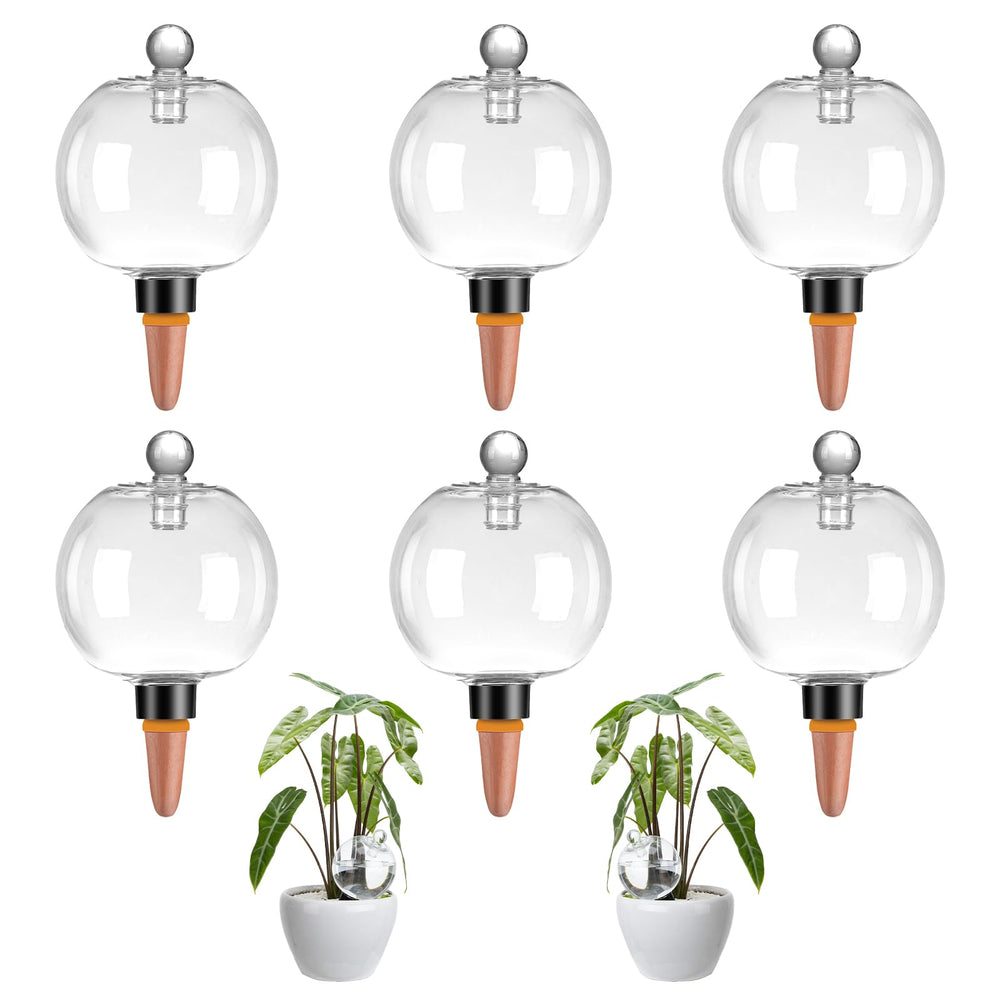 Ansberta front view of six watering globes showing kit and covers for easy refill benefit