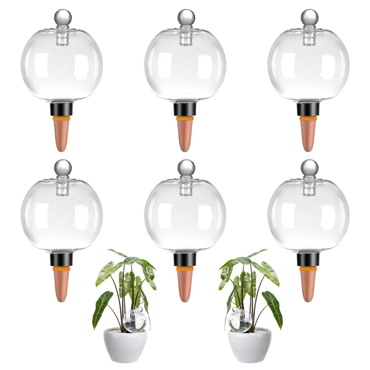 Ansberta front view of six watering globes showing kit and covers for easy refill benefit
