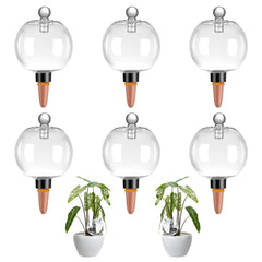 Ansberta front view of six watering globes showing kit and covers for easy refill benefit