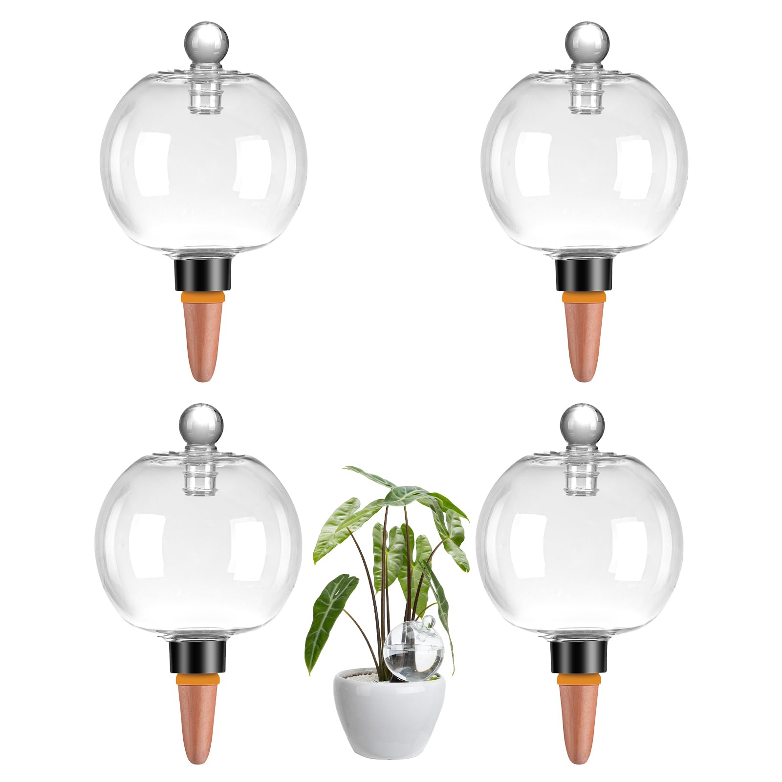 Ansberta front view of four watering globes showing packaging benefits