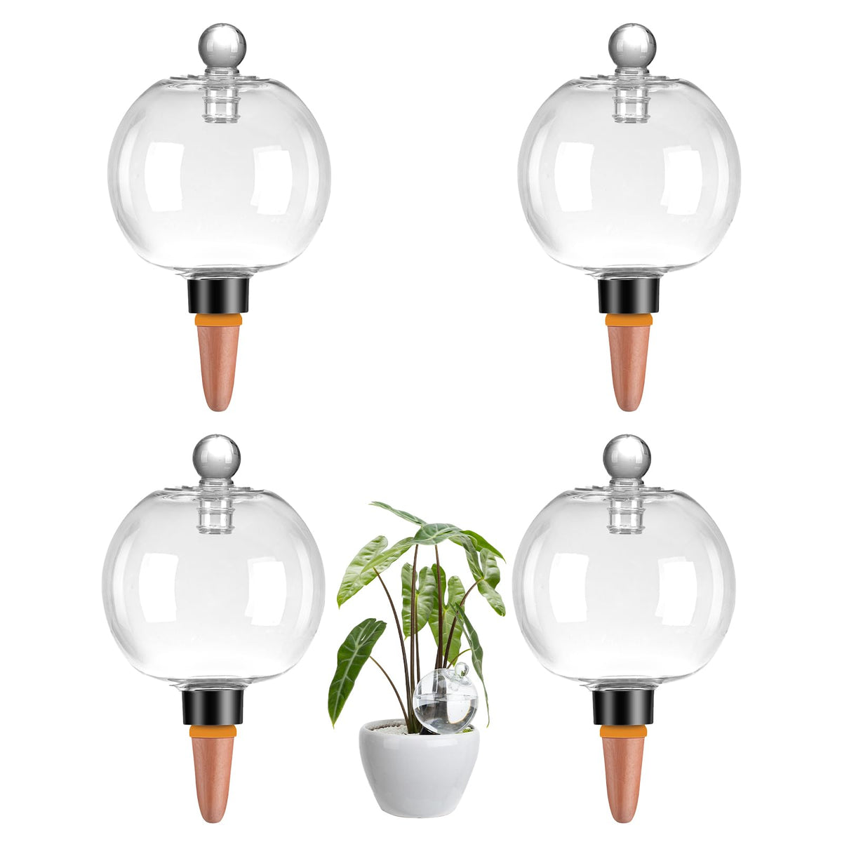Ansberta front view of four watering globes showing packaging benefits