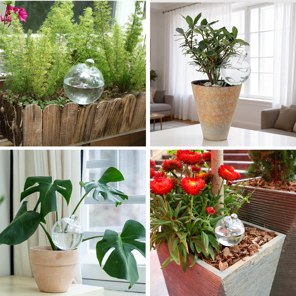Ansberta globe used in hanging planter showing outdoor-ready cover reducing evaporation