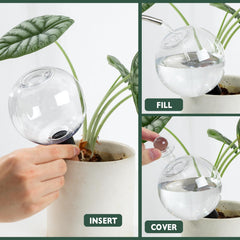 Ansberta globe inserted in indoor pot demonstrating steady irrigation advantage