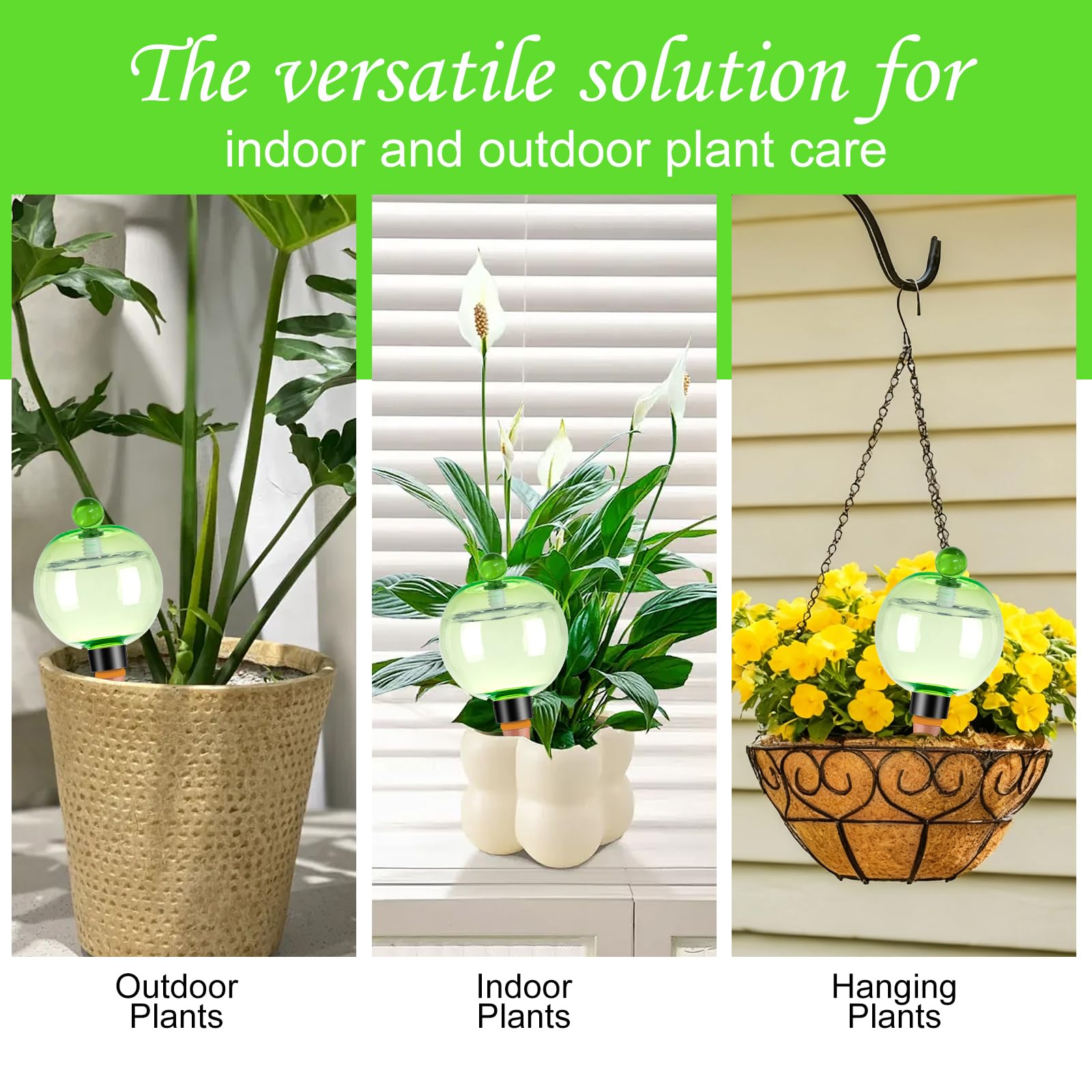 Ansberta globes on a balcony planter visualizing decorative look and low-maintenance care