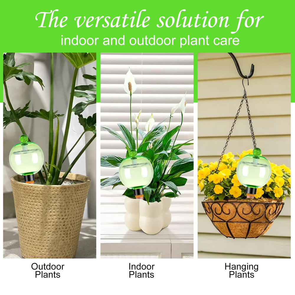 Ansberta globes on a balcony planter visualizing decorative look and low-maintenance care