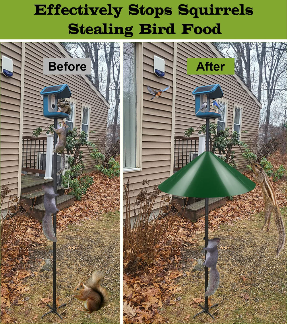 Ansionsol installed on shepherd hook preventing squirrels reaching feeder