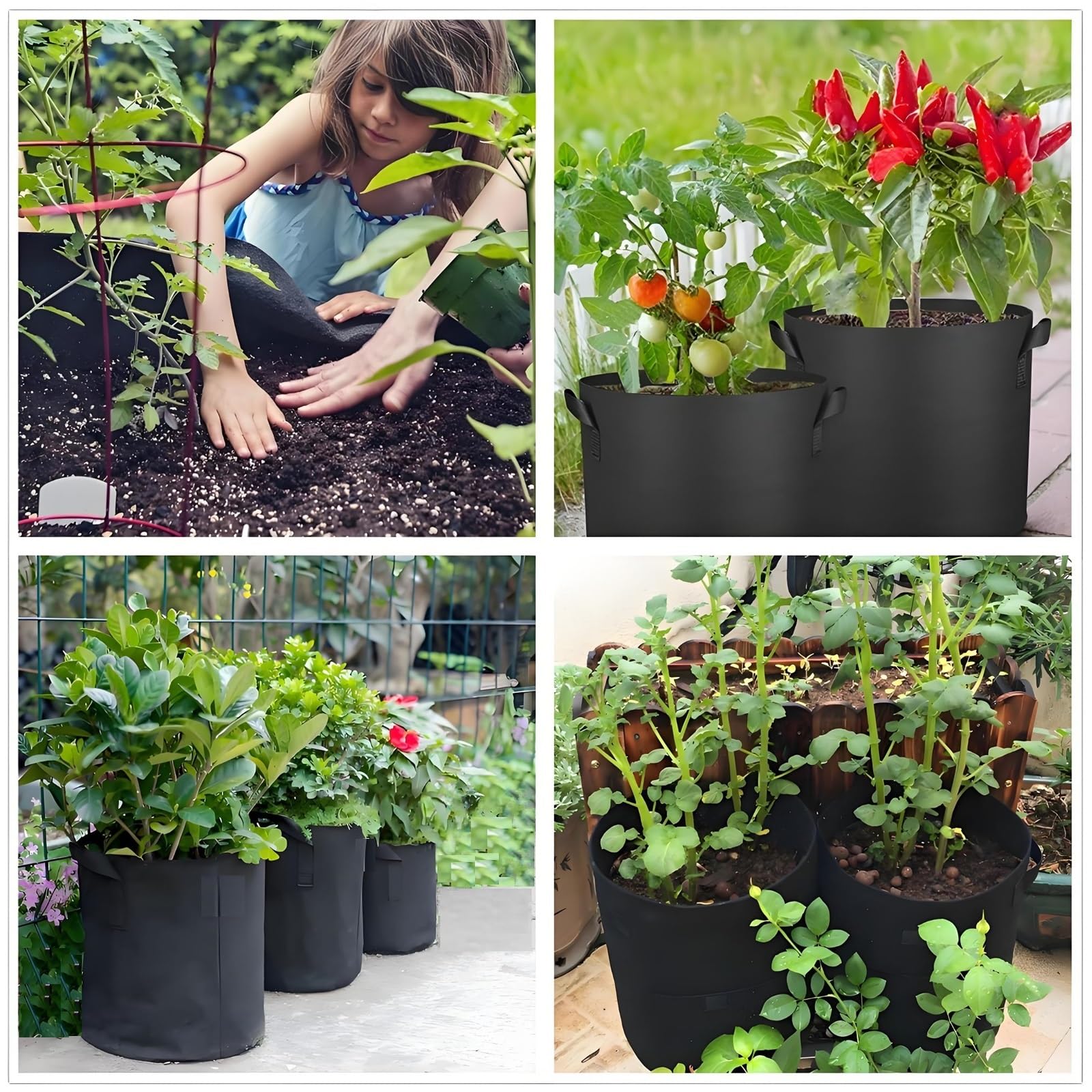 ANSLYQA planted grow bags on balcony with tomatoes illustrating space-saving use