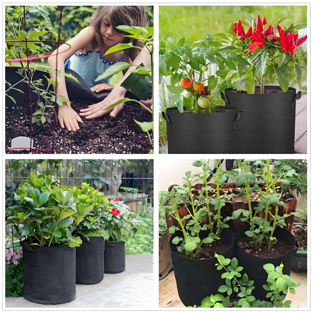 ANSLYQA planted grow bags on balcony with tomatoes illustrating space-saving use