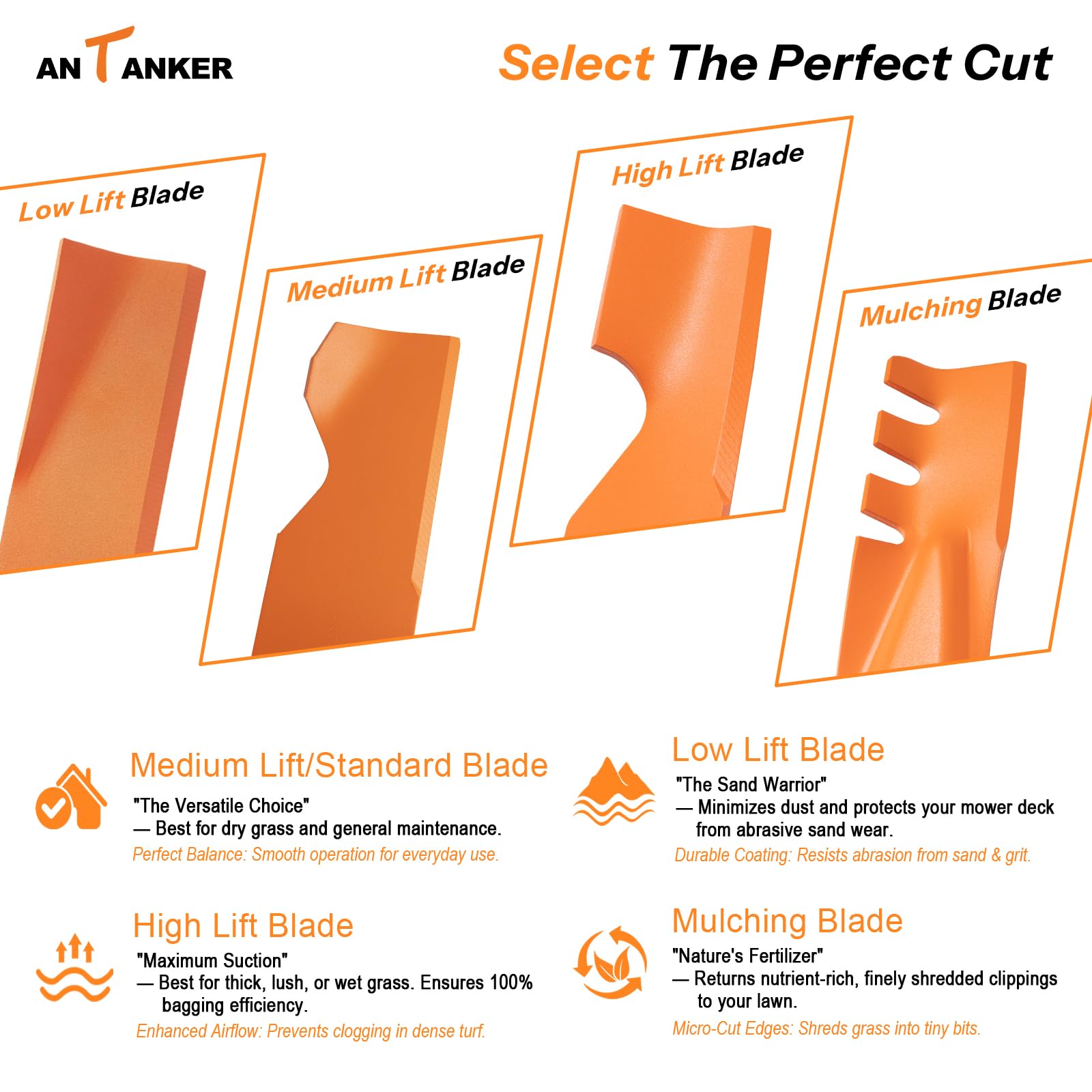 Antanker blades beside ruler showing exact dimensions for confident replacement benefit