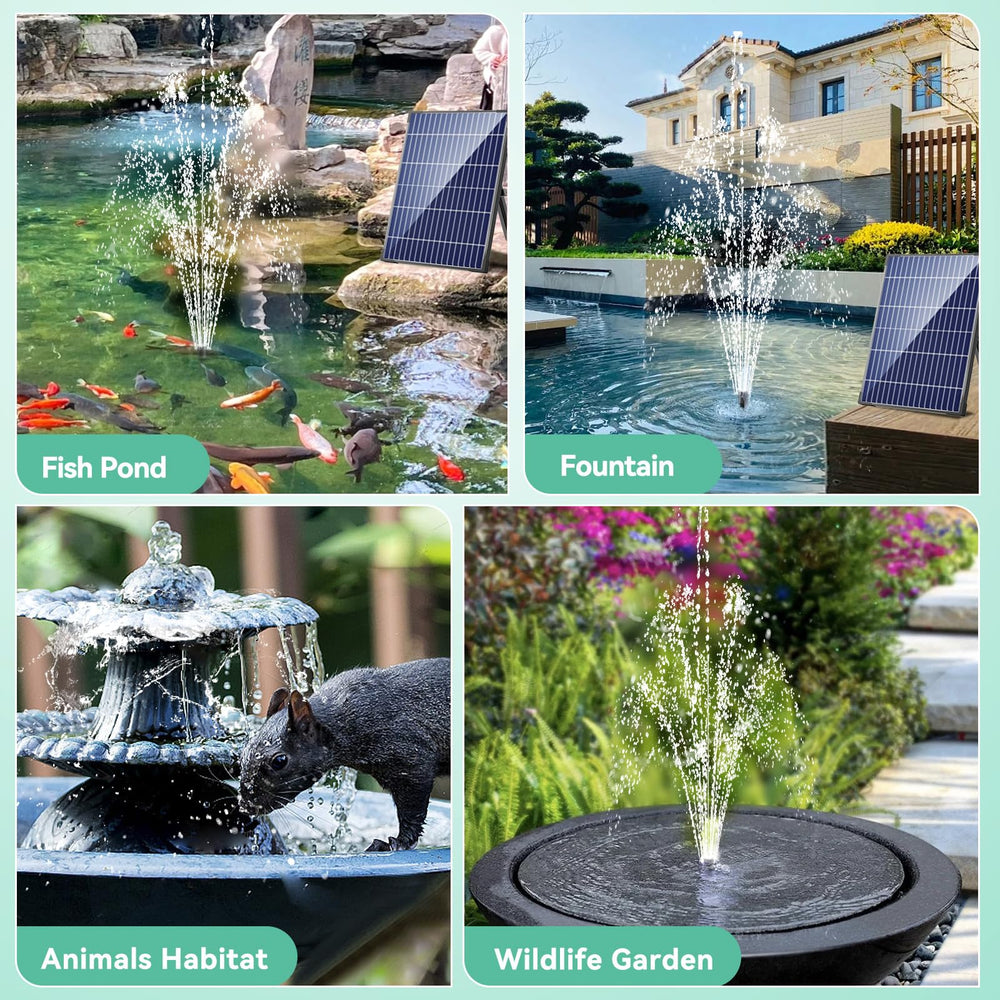 antfraer pump close-up impeller and filter for easy cleaning benefit