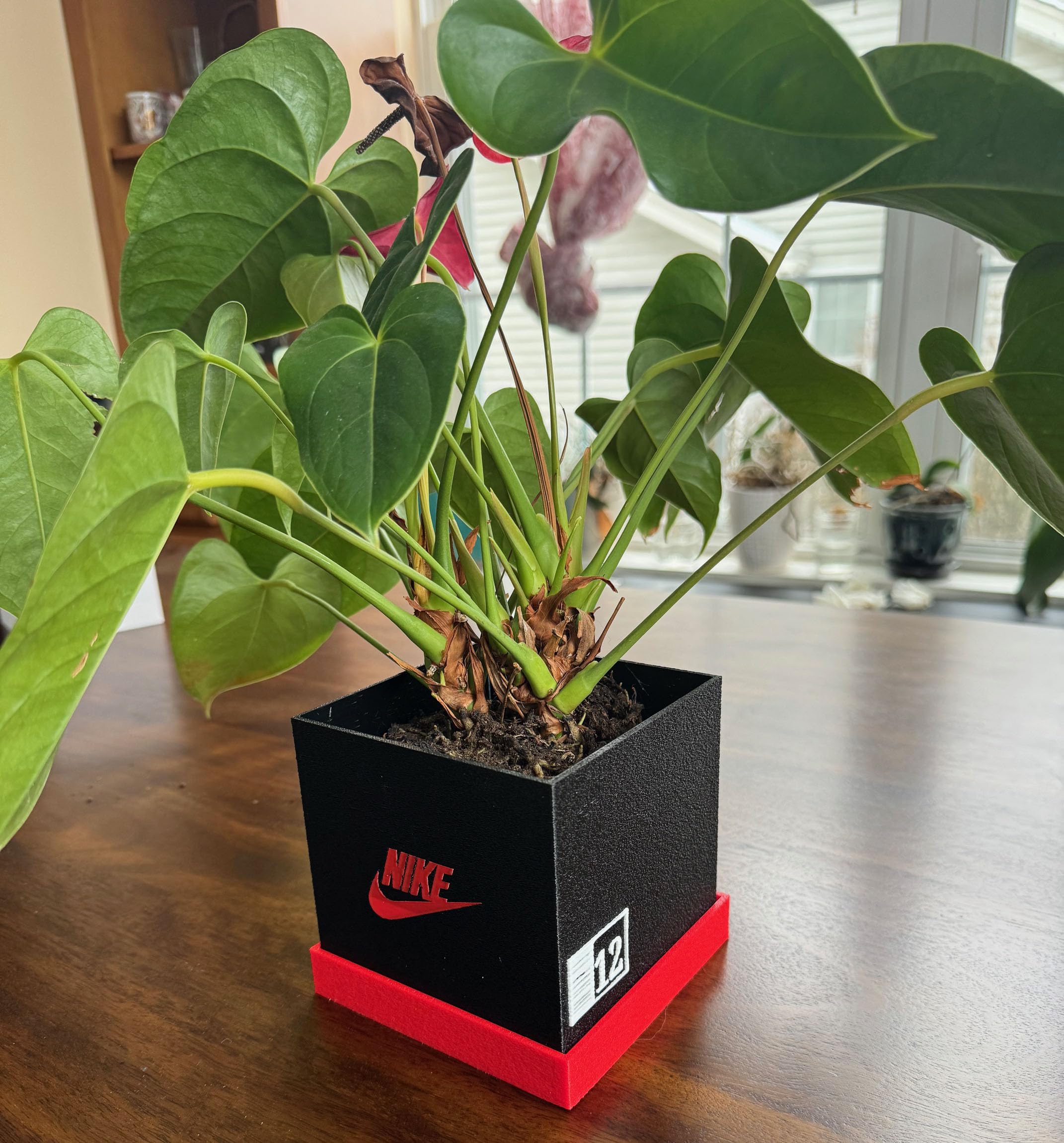 Antho3D sneaker planter on desk with plant showcasing decorative benefit