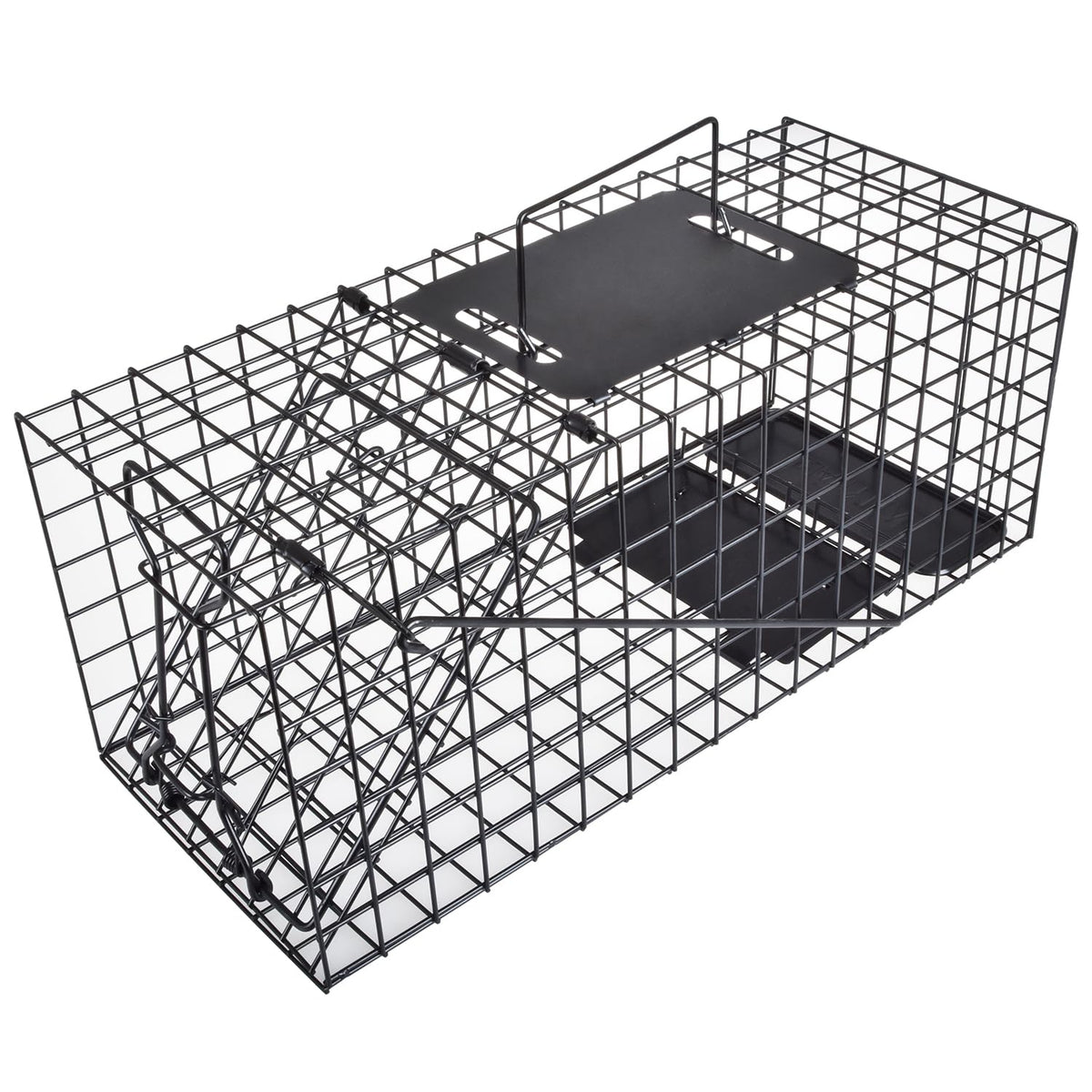 Anyhall front view of fully assembled cage trap showing secure door and finish