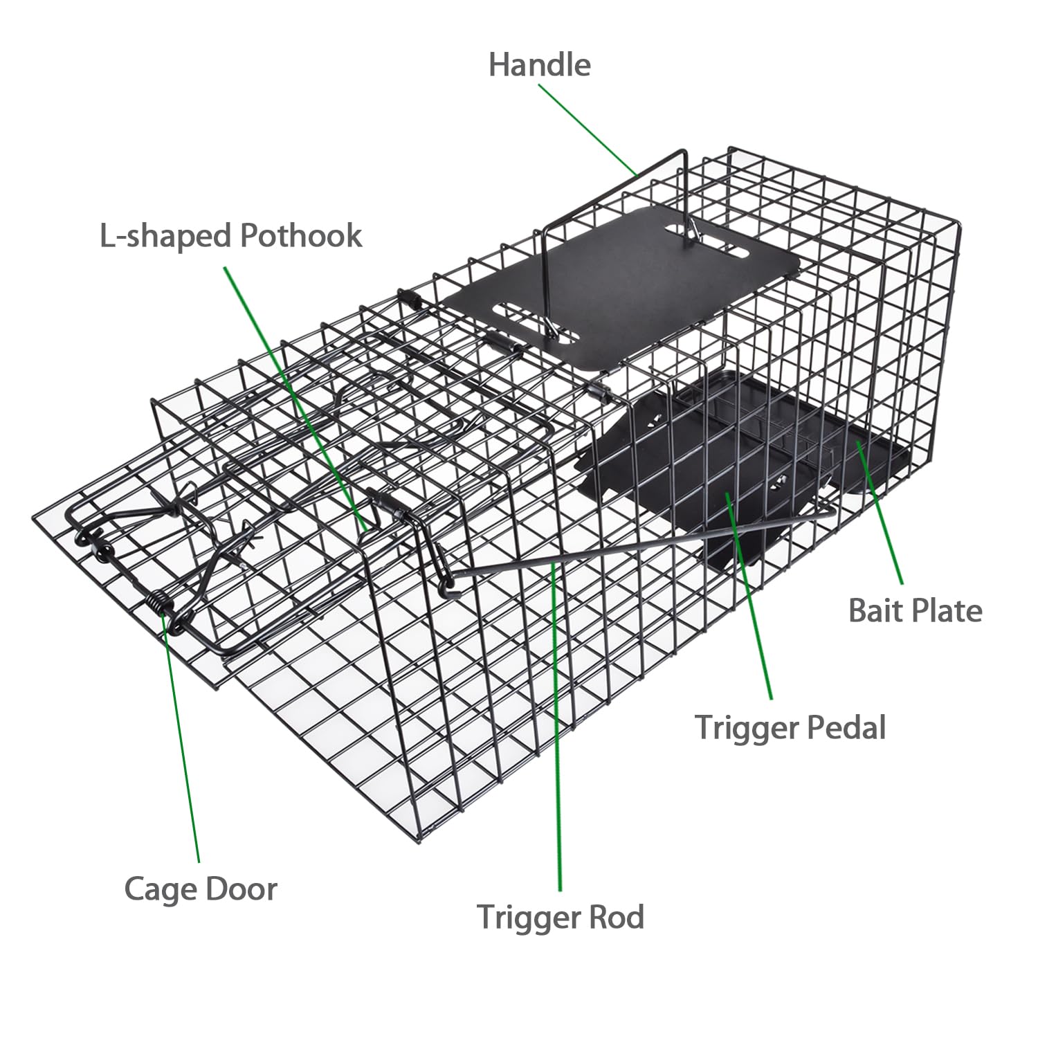 Anyhall placed in backyard setting illustrating discreet, humane pest control
