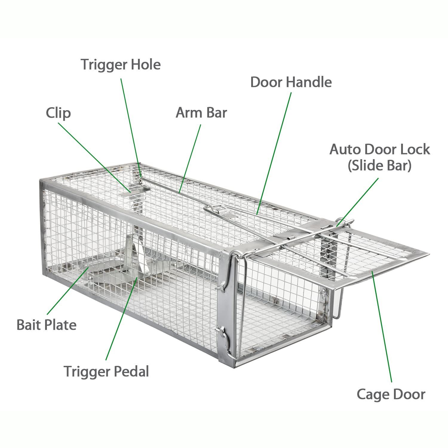 Anyhall trap in use with bait inside illustrating how it safely captures rodents