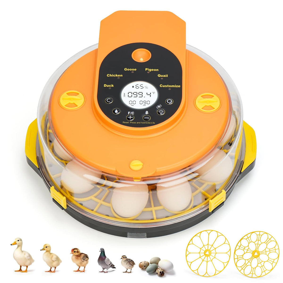 Anyprime front view showing incubator compact design and reliable hatching control