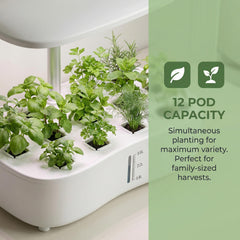 Anzorio adjustable LED light pole set to different heights to fit plant stages