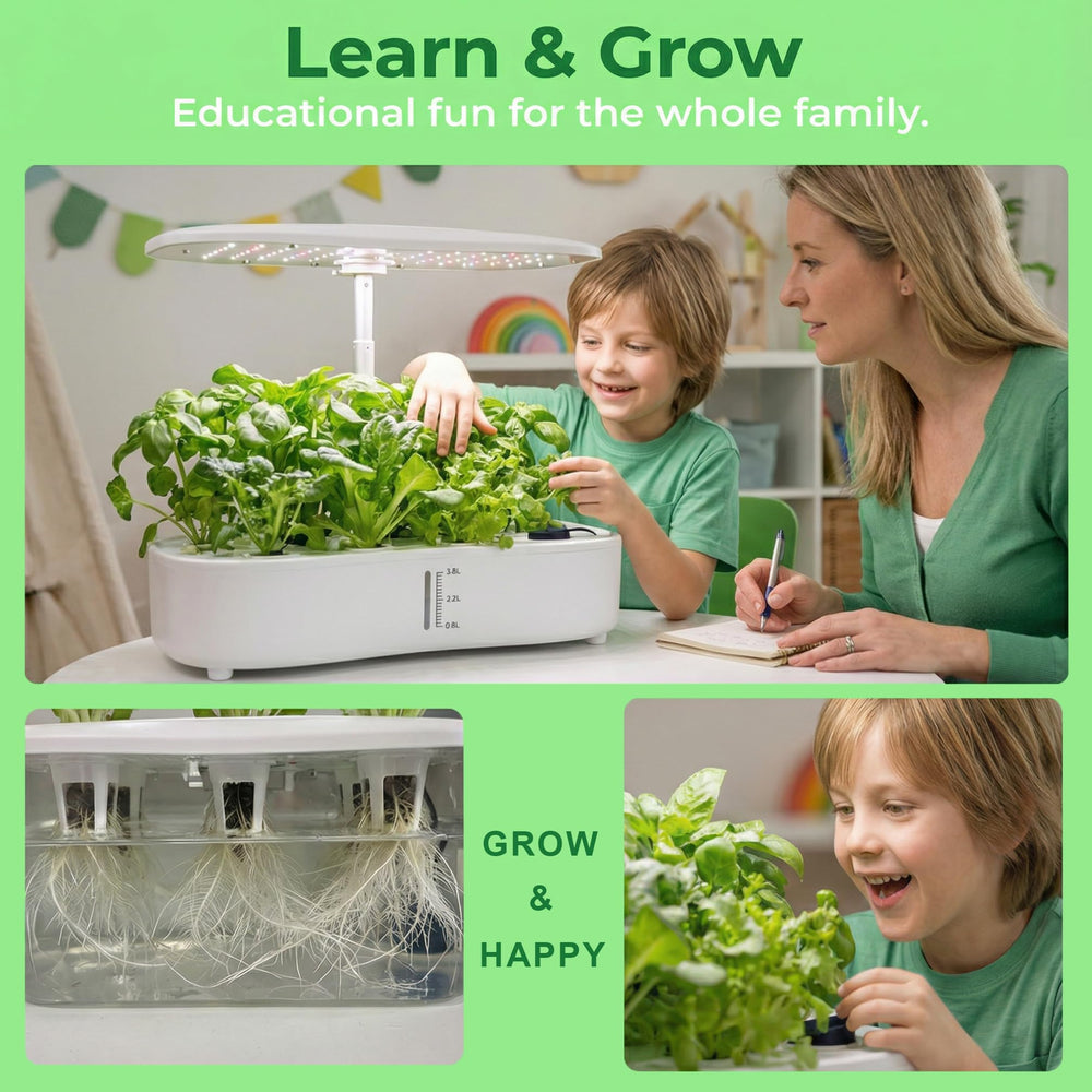 Anzorio sponge pod and roots detail illustrating clean soil-free root development