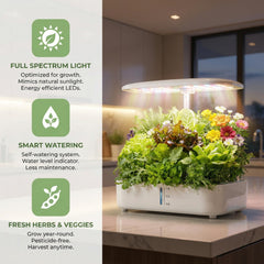 Anzorio top view with 12 pods arranged for simultaneous herb growing convenience