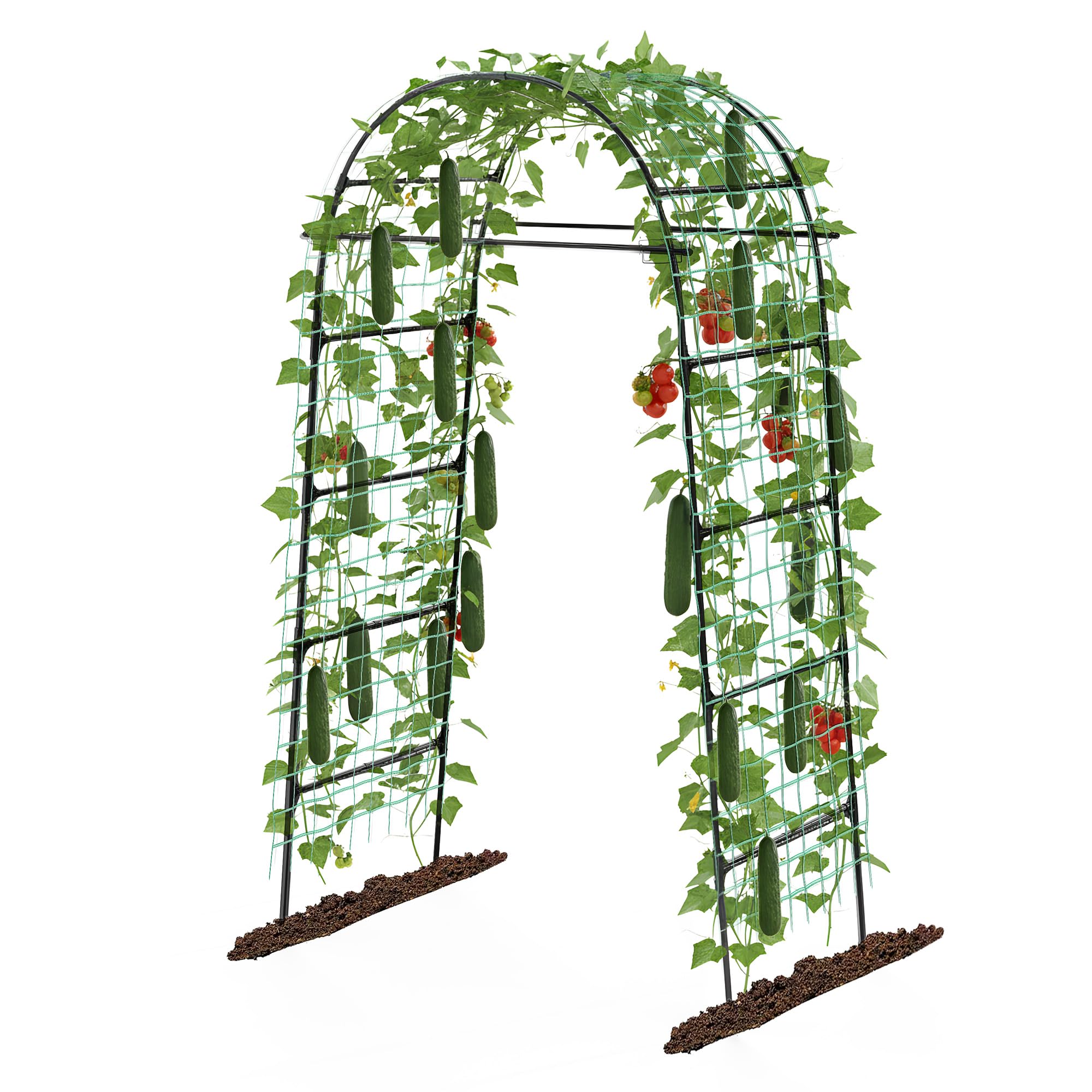 Aohanoi front view arched trellis framing garden entrance and adding structure