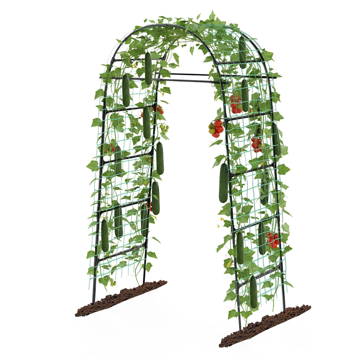 Aohanoi front view arched trellis framing garden entrance and adding structure