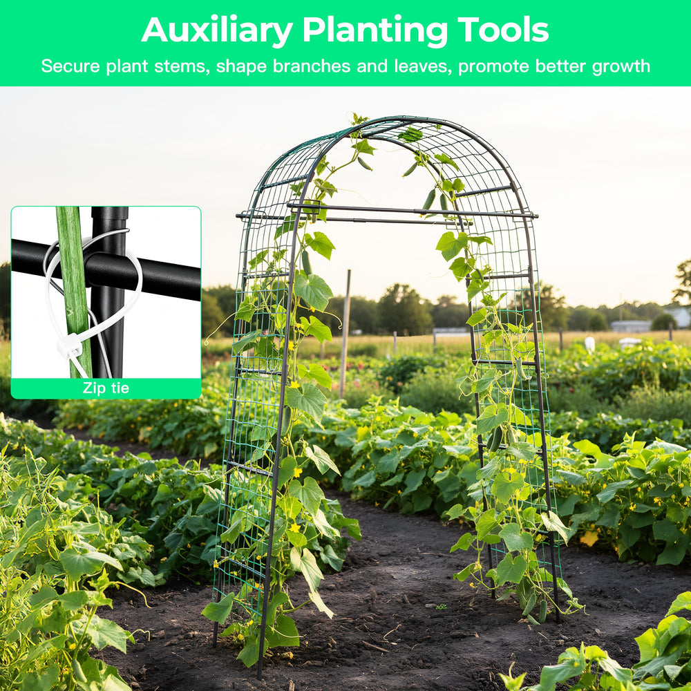 Aohanoi trellis supporting climbing tomatoes for easier harvesting benefit