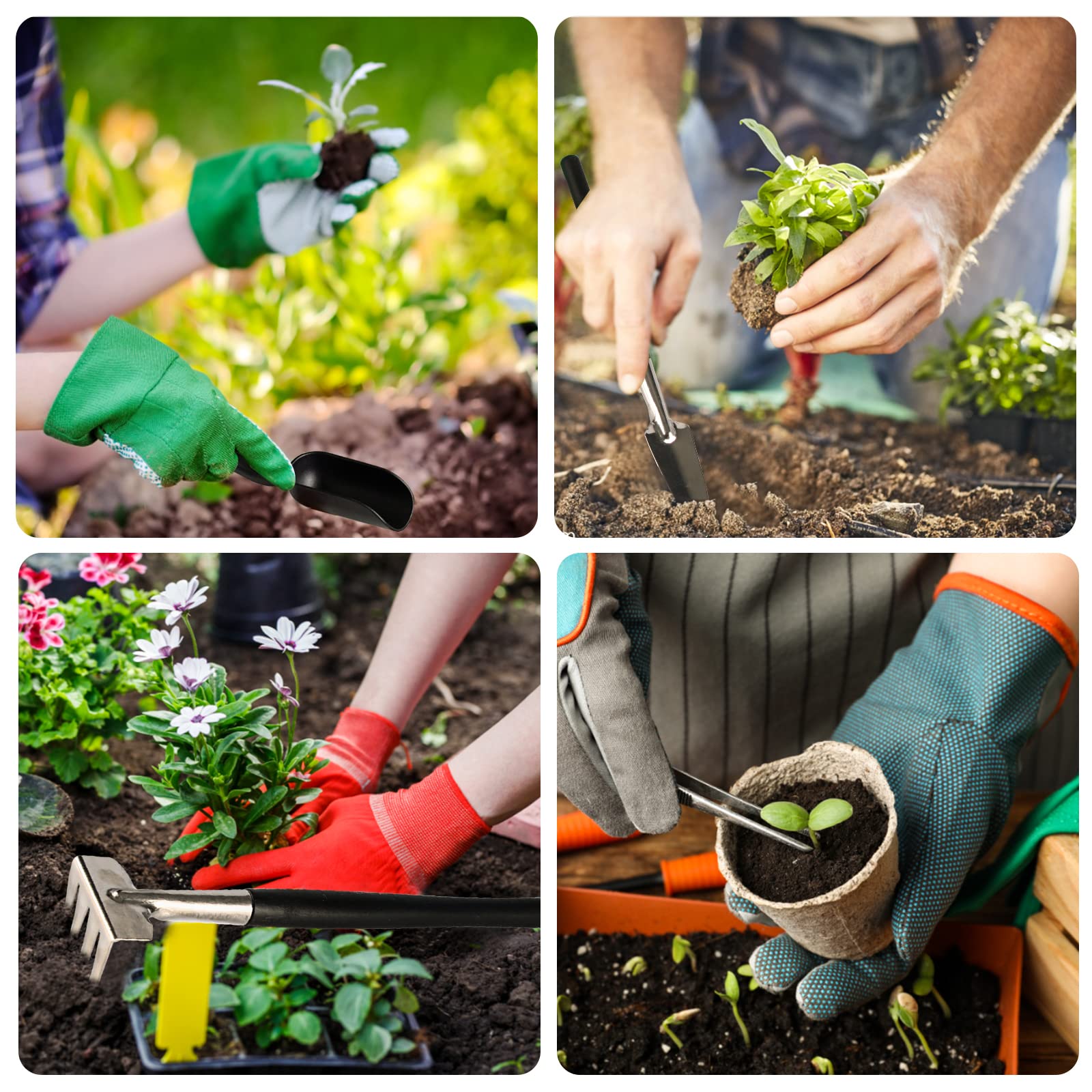 AOKNZEVM hands using leaf cutters demonstrating neat foliage pruning benefit