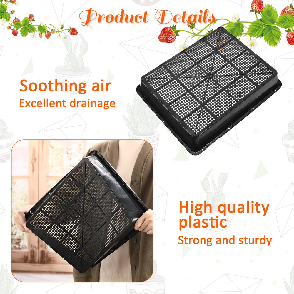 aoriher catch tray closeup demonstrating water containment and easy watering benefit