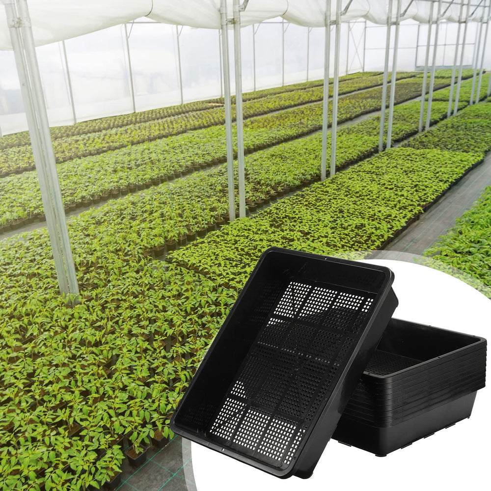 aoriher trays in use with microgreens showing fast harvest and productive layout benefit