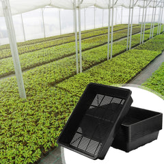 aoriher trays in use with microgreens showing fast harvest and productive layout benefit