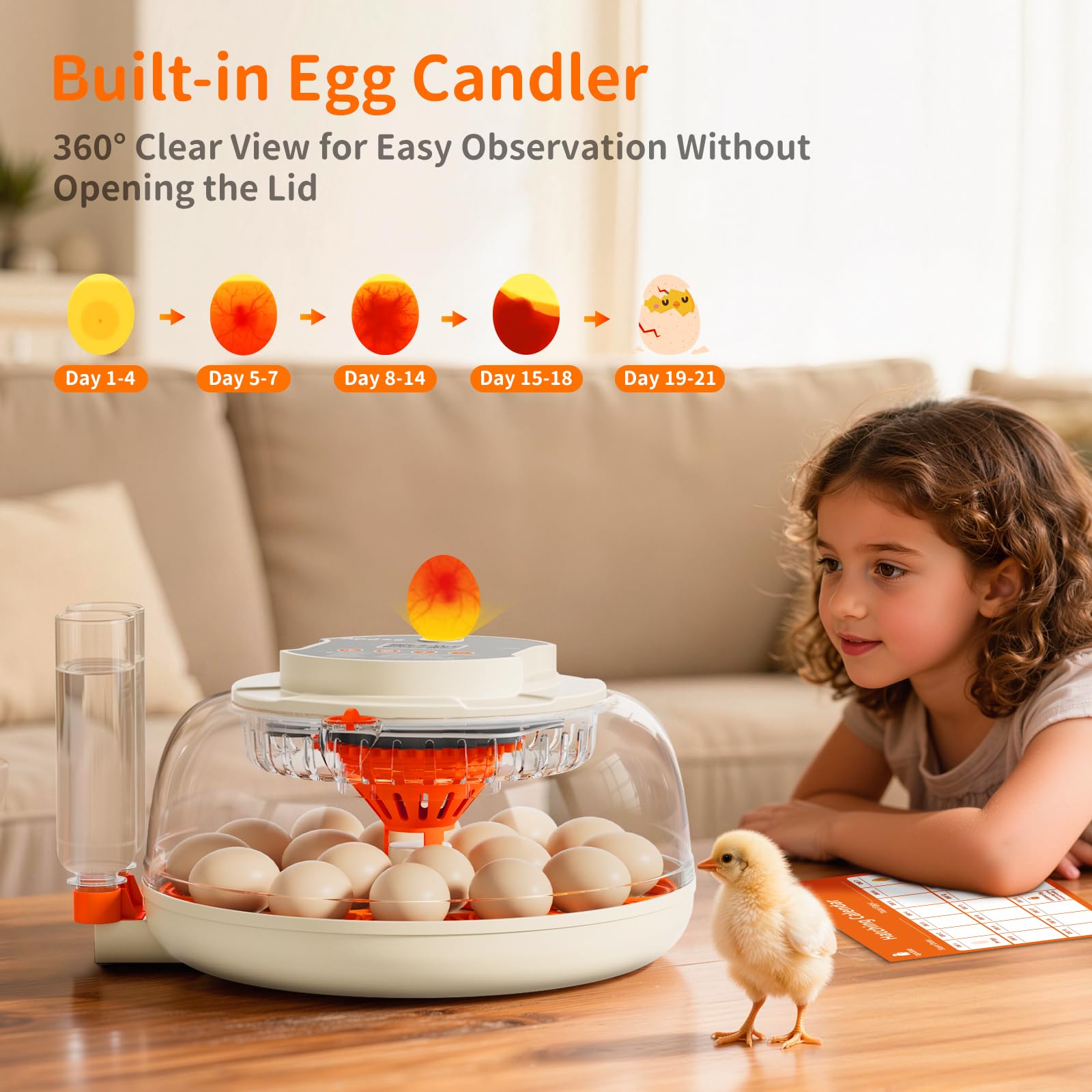 APDOE built-in egg candler close-up enabling non-invasive embryo checks