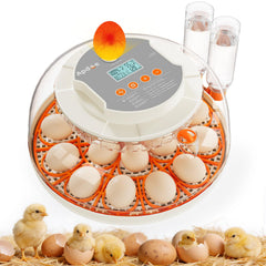APDOE front view showing controls and display for easy monitoring
