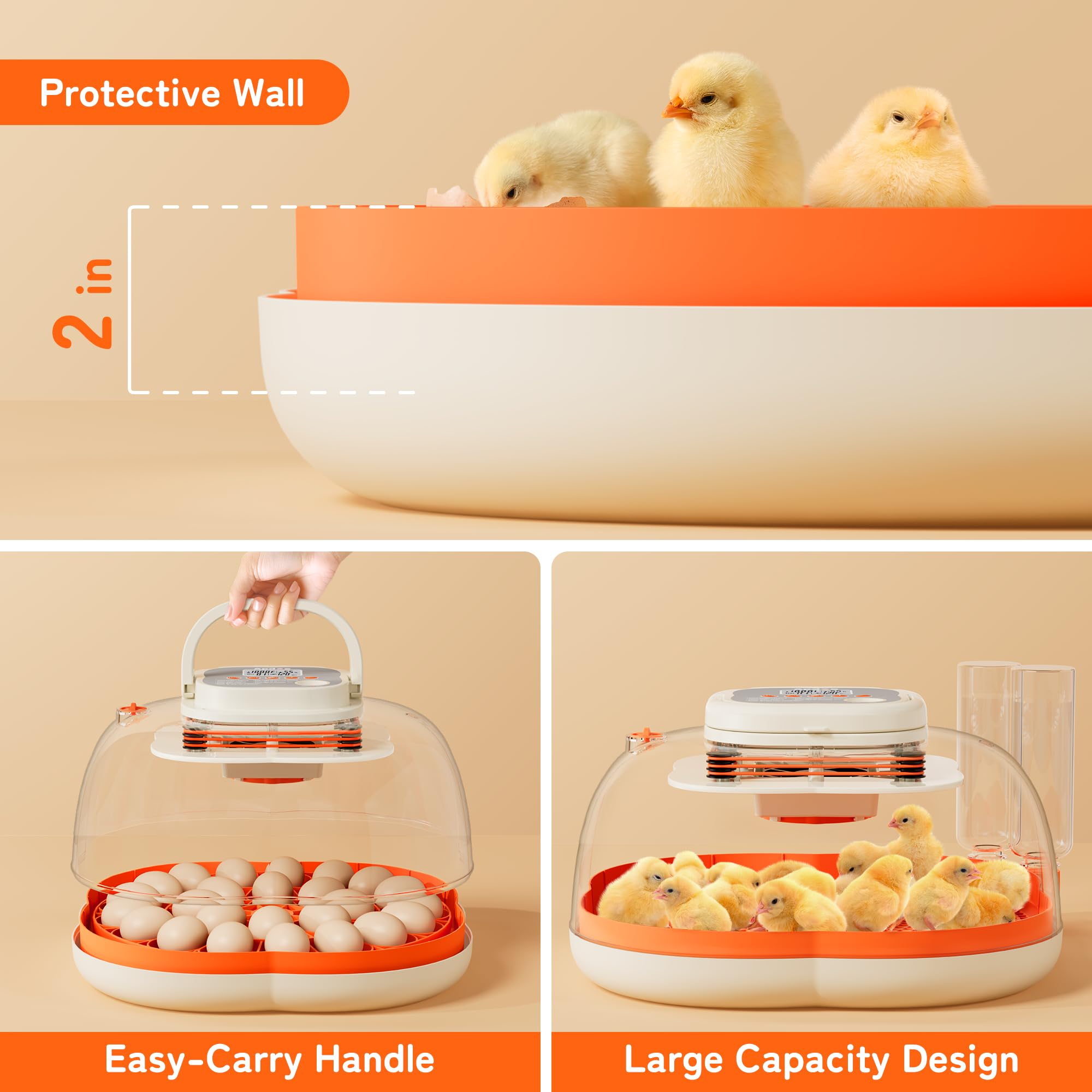 APDOE interior tray and high protective walls for safe chick movement