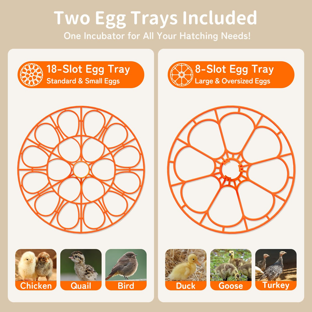 APDOE large tray with duck eggs demonstrating accommodation of large eggs