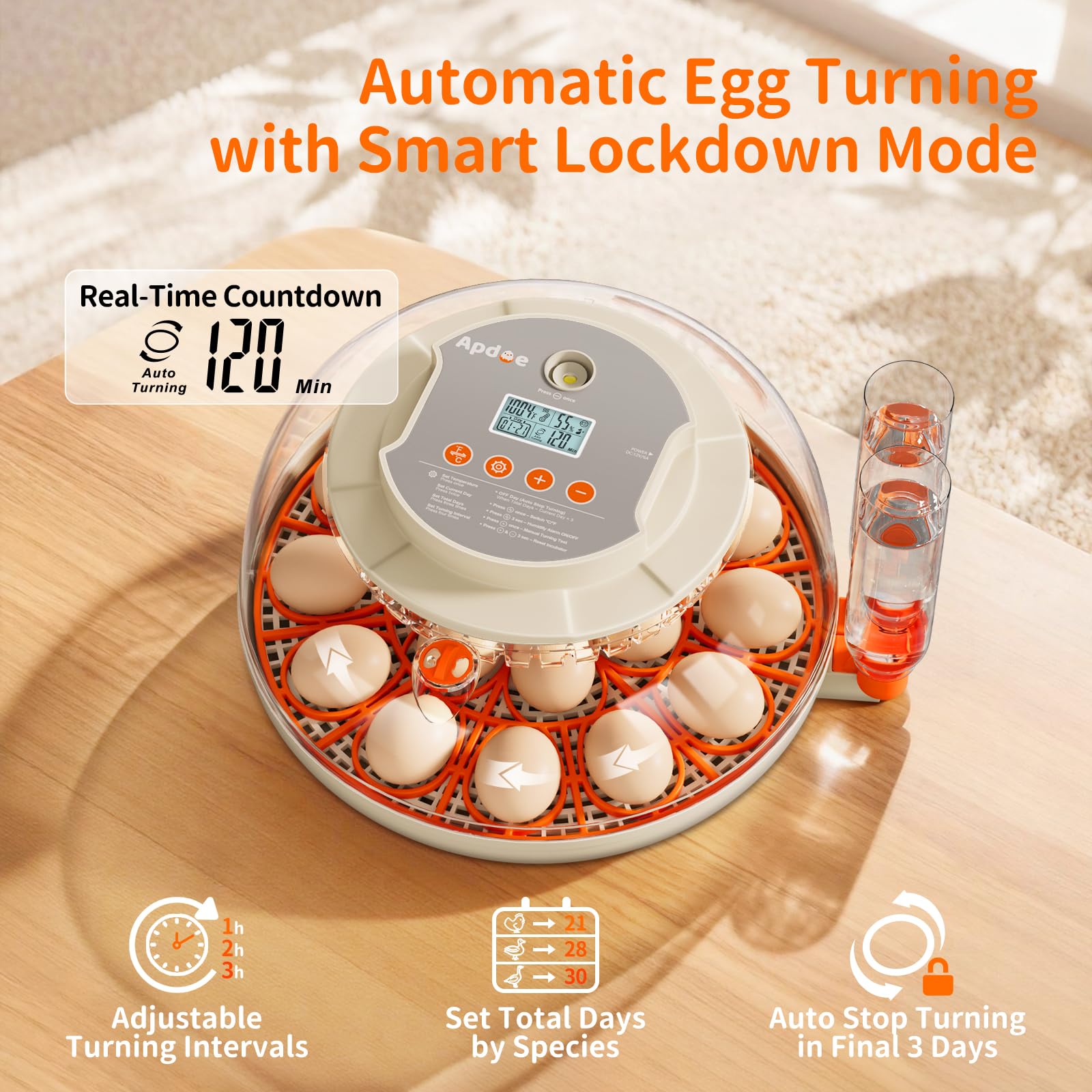 APDOE standard tray filled with quail eggs maximizing small-egg capacity