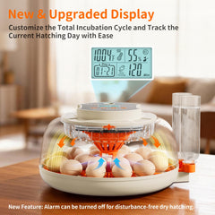 APDOE transparent 360° lid giving full visibility to monitor eggs