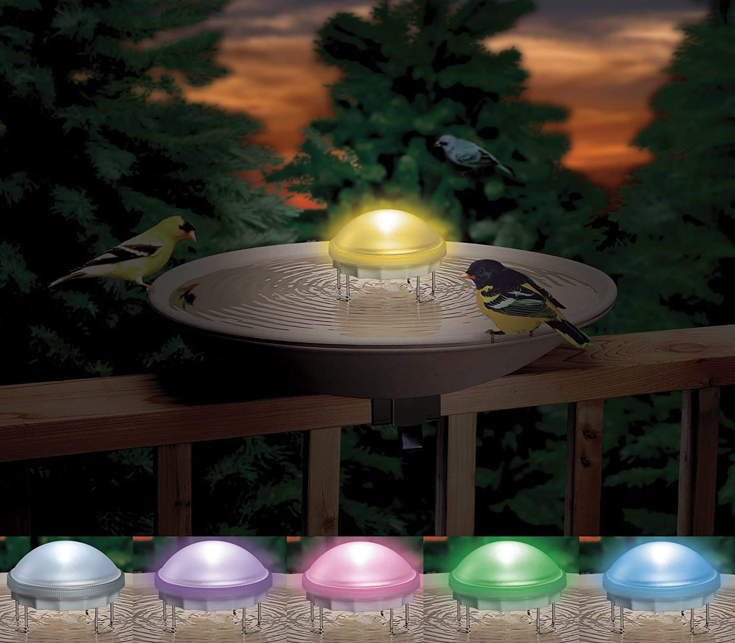 API Water Wiggler installed in birdbath with visiting bird showing attraction benefit