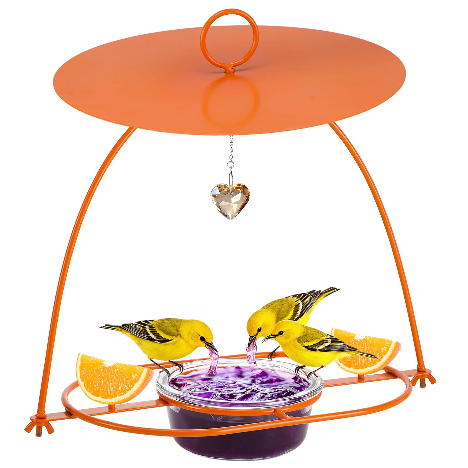 Apipi orange feeder front view showing bowl and rain guard, attracts orioles