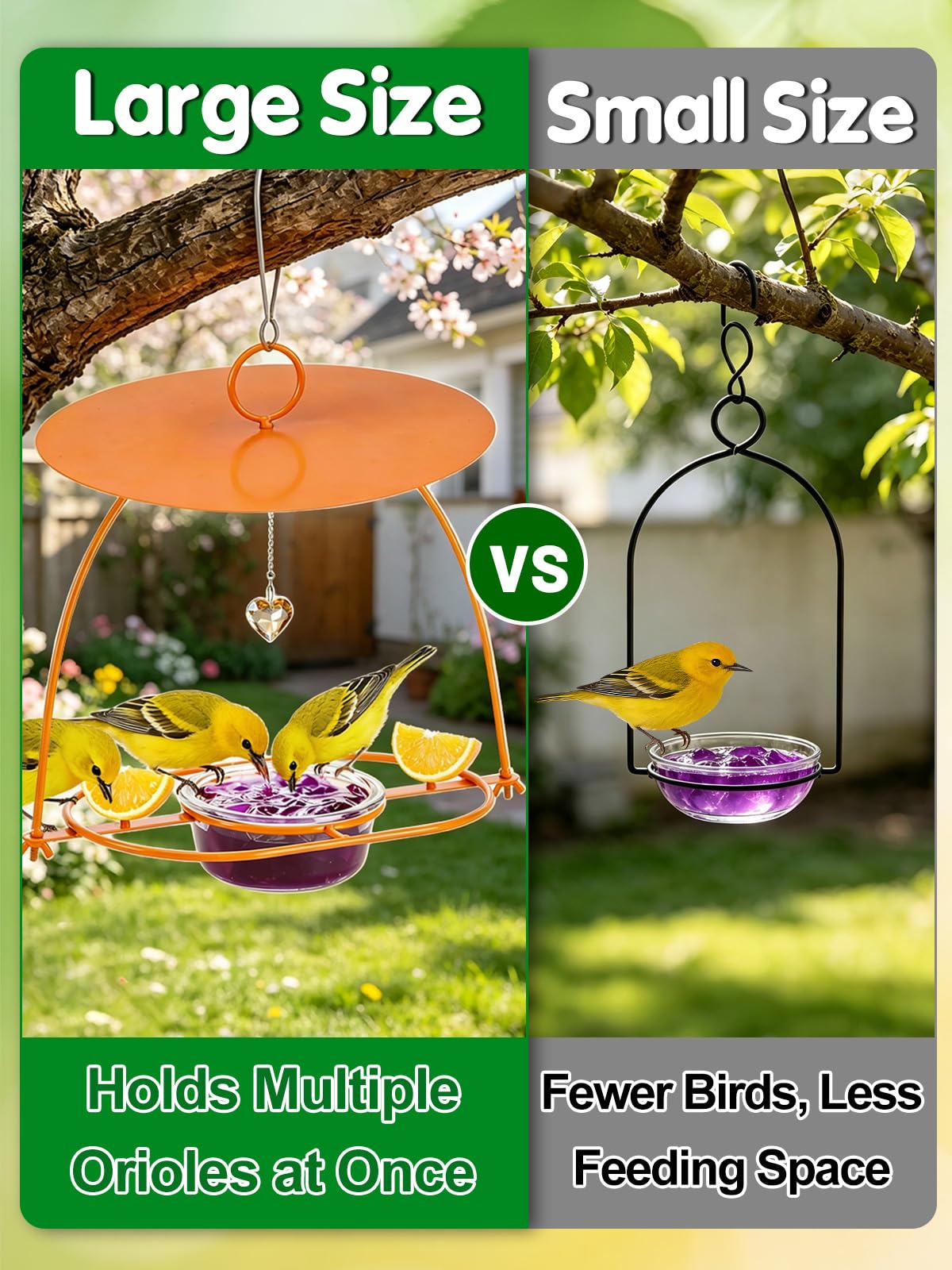Apipi feeder hanging on a tree branch, invites backyard bird activity