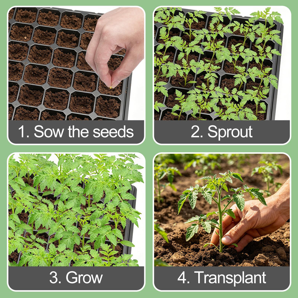 Apipi tray edge aligned in 10x20 growing tray showing compatibility benefit