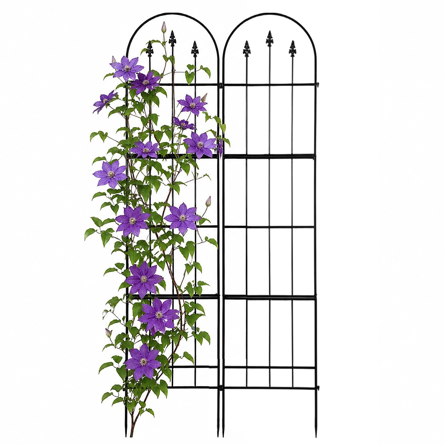 Apipi trellis front view showing full panel and clean black finish for neat support
