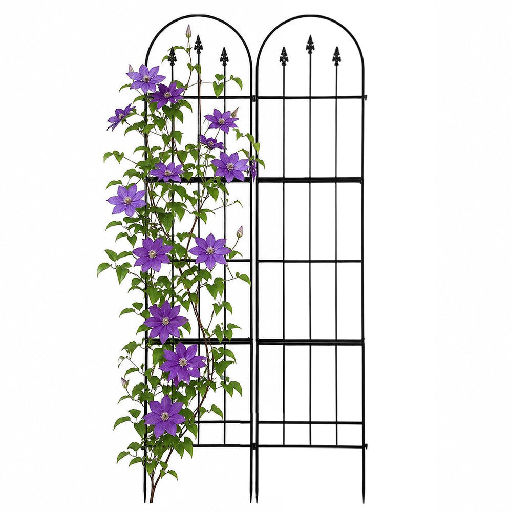 Apipi trellis front view showing full panel and clean black finish for neat support